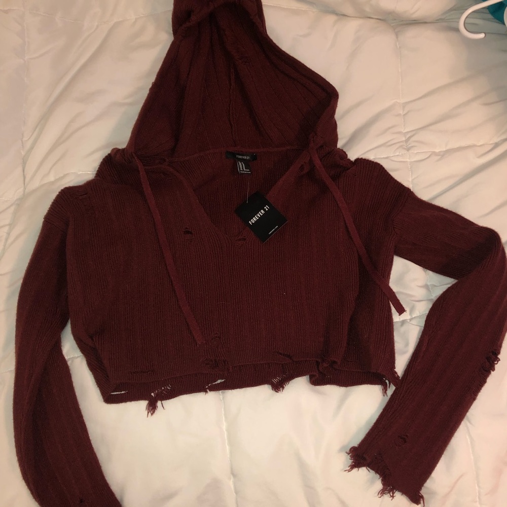 Distressed Maroon Crop Top Sweater